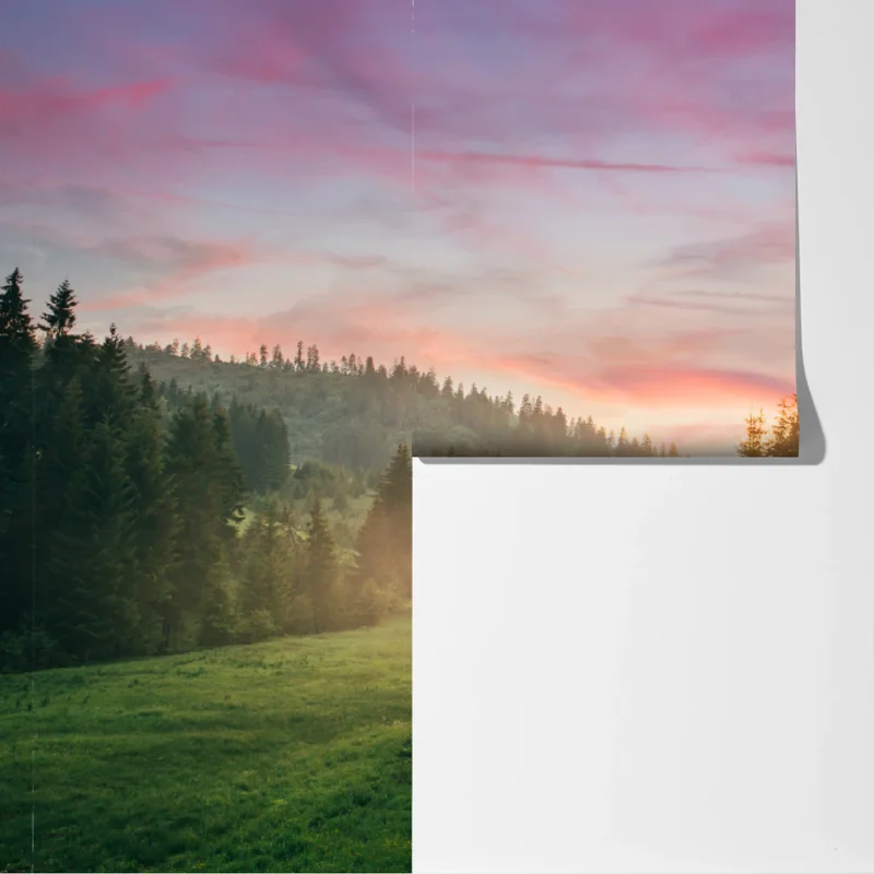 Fototapete nebliger sonnenuntergang im kiefernwald Fototapete nebliger sonnenuntergang im kiefernwald