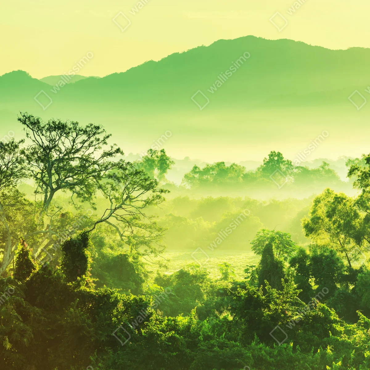 Repositionierbarer Aufkleber üppige tropische dschungellandschaft Repositionierbarer Aufkleber üppige tropische dschungellandschaft