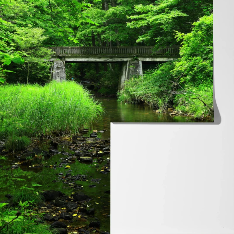 Fototapete üppiger grüner waldbach mit steinbrücke Fototapete üppiger grüner waldbach mit steinbrücke
