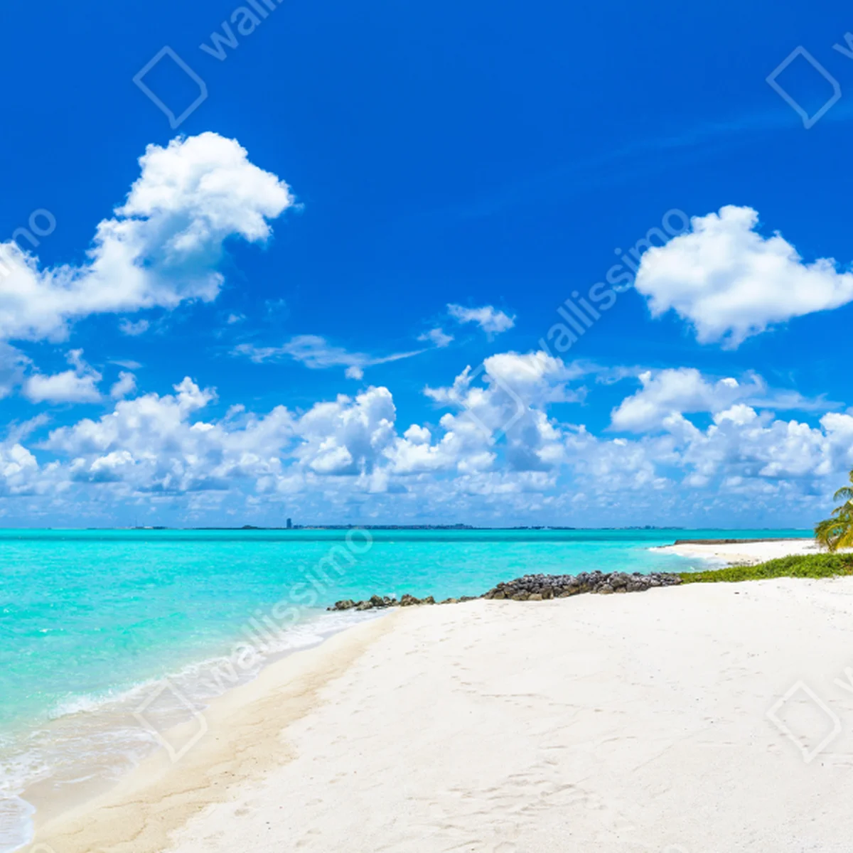 Naklejka na okno Malediwy turkusowa plaża panorama Naklejka na okno Malediwy turkusowa plaża panorama