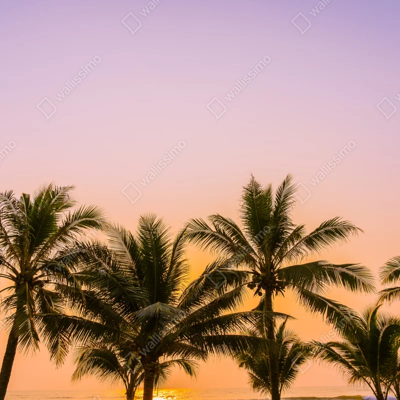Schrankaufkleber tropischer palmsonnenuntergang am strand Schrankaufkleber tropischer palmsonnenuntergang am strand