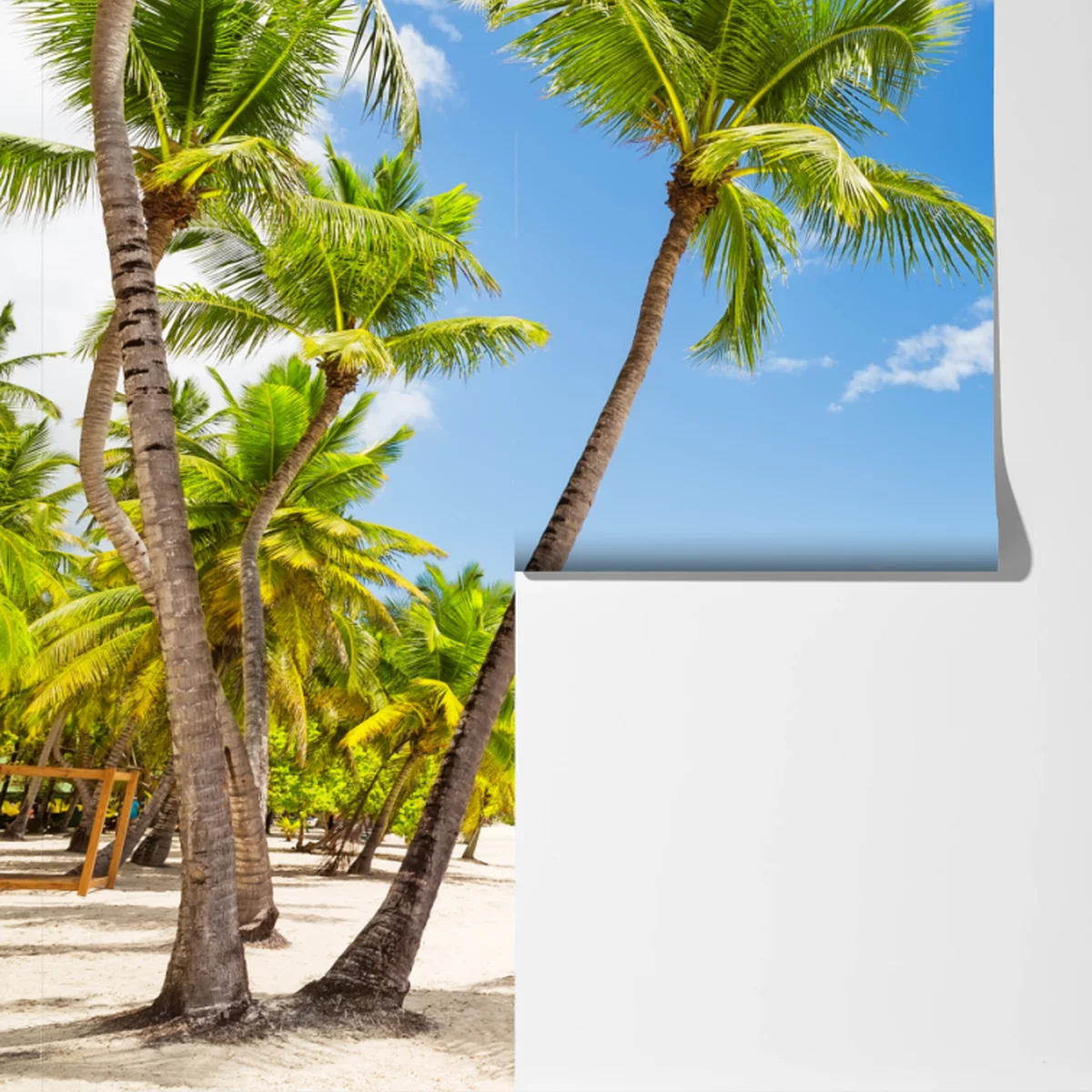 Fototapeta plaża z palmami w Punta Cana Fototapeta plaża z palmami w Punta Cana