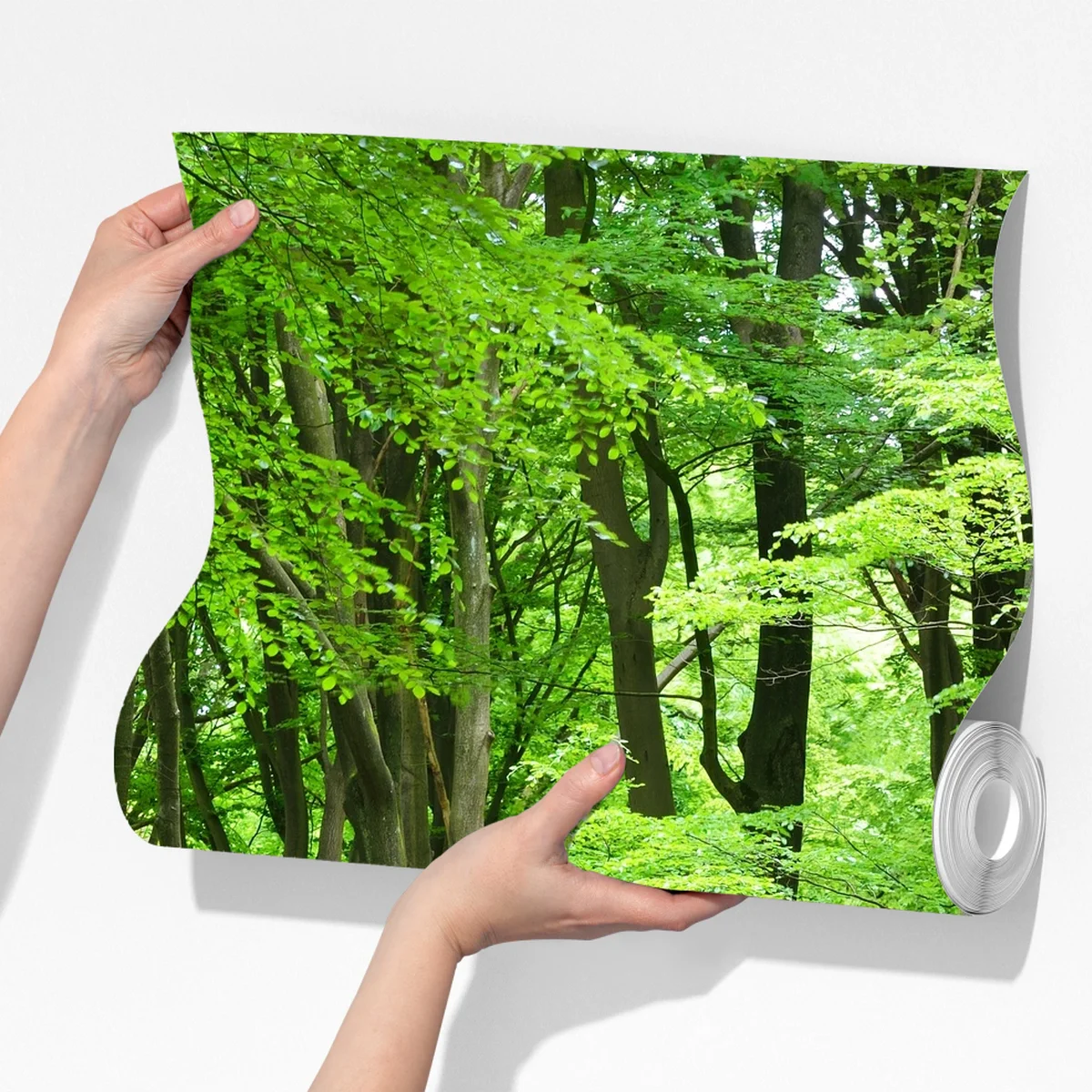 Fototapete ruhige grüne waldkrone Fototapete ruhige grüne waldkrone