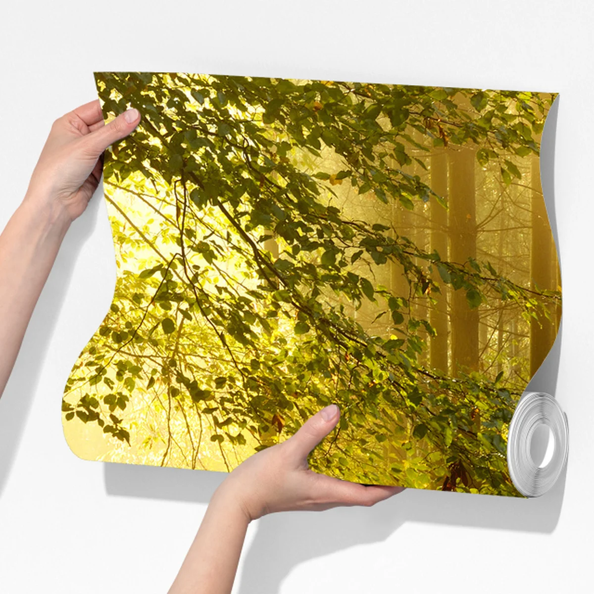 Fototapeta słoneczna leśna ścieżka jesienią Fototapeta słoneczna leśna ścieżka jesienią