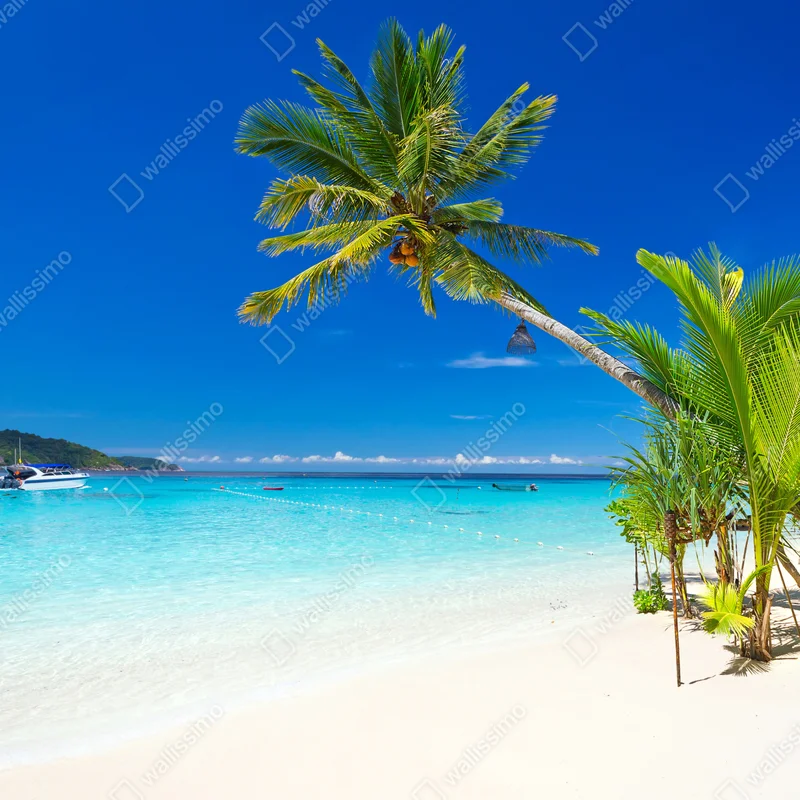 Fensteraufkleber tropischer strand in Thailand Fensteraufkleber tropischer strand in Thailand