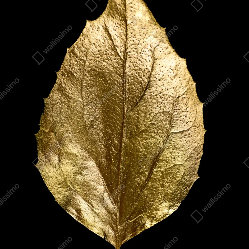 Poster goldenes blatt auf schwarzem hintergrund Poster goldenes blatt auf schwarzem hintergrund