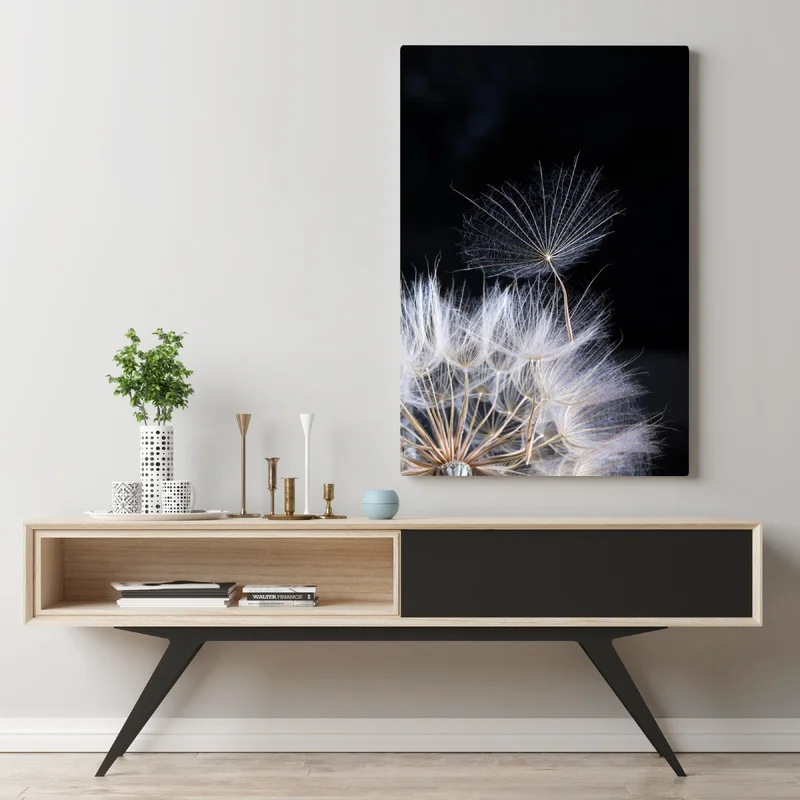 Leinwandbild zarter löwenzahnsamen auf schwarzem hintergrund Leinwandbild zarter löwenzahnsamen auf schwarzem hintergrund