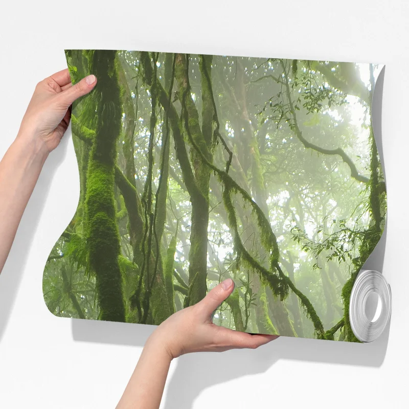 Fototapete moosiger wald mit bach im nebel Fototapete moosiger wald mit bach im nebel