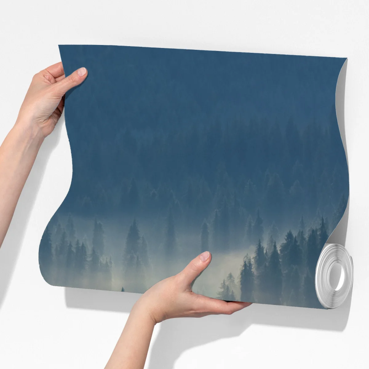 Fototapete nebliger nadelwald im morgengrauen Fototapete nebliger nadelwald im morgengrauen