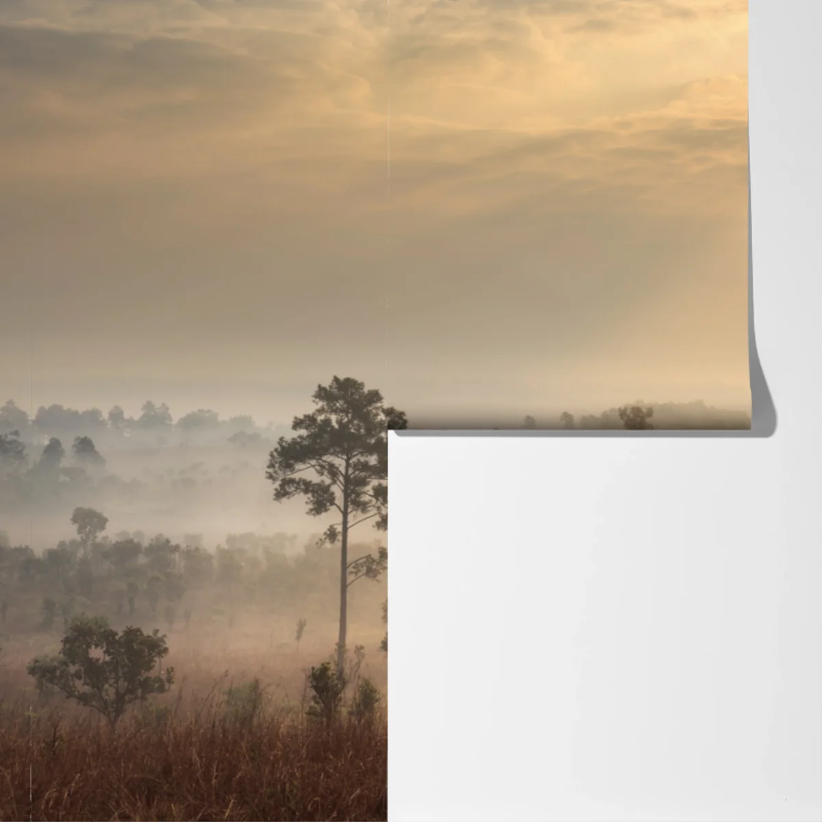 Fototapeta Tajlandia sawanna o wschodzie słońca Fototapeta Tajlandia sawanna o wschodzie słońca