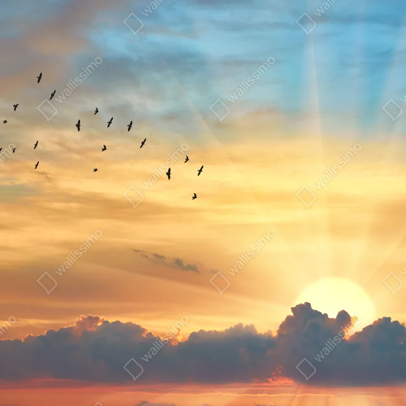 Laptop-Aufkleber goldener sonnenaufgang über den wolken Laptop-Aufkleber goldener sonnenaufgang über den wolken