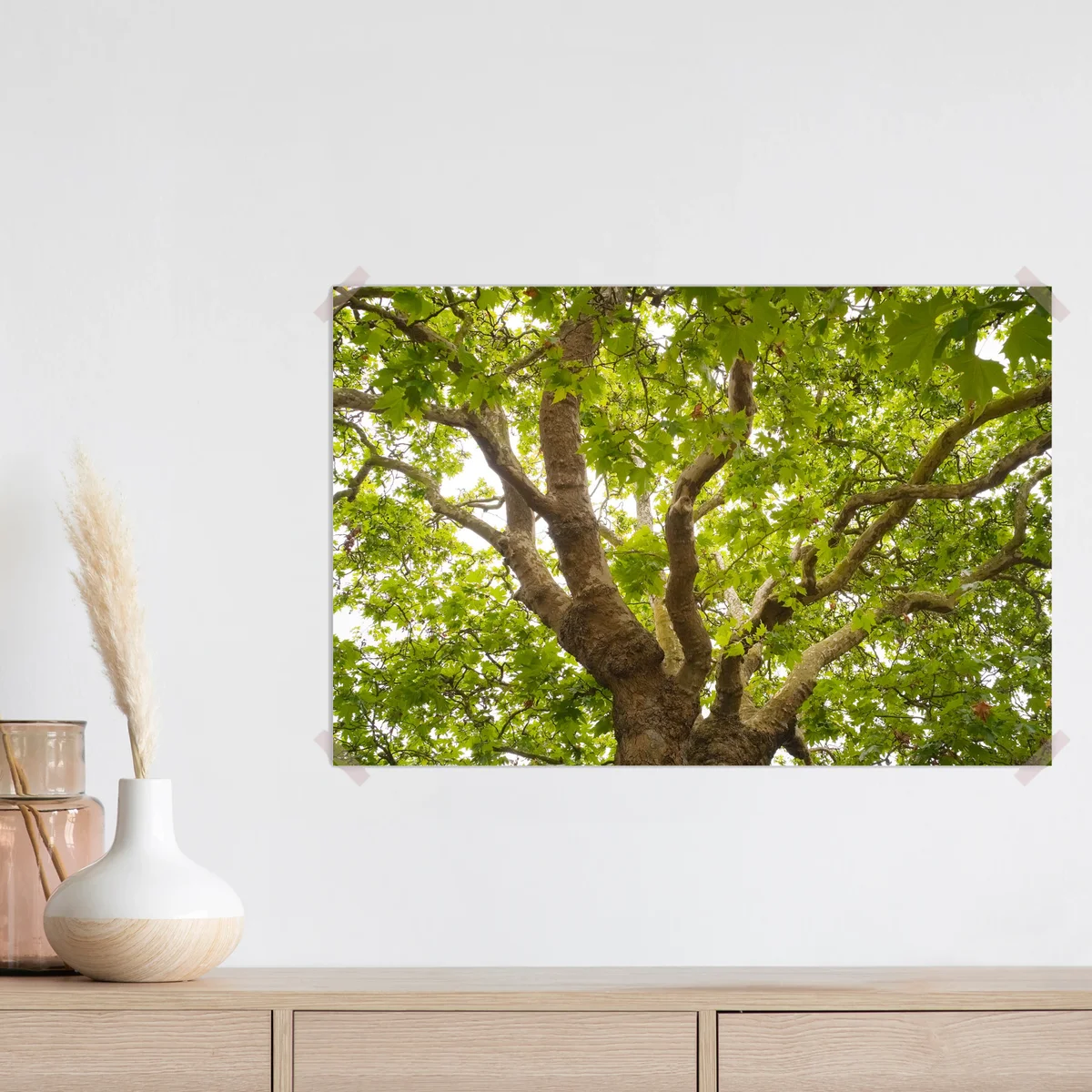 Poster schöne Eiche • Poster bei Wallnifity® Poster schöne Eiche • Poster bei Wallnifity®