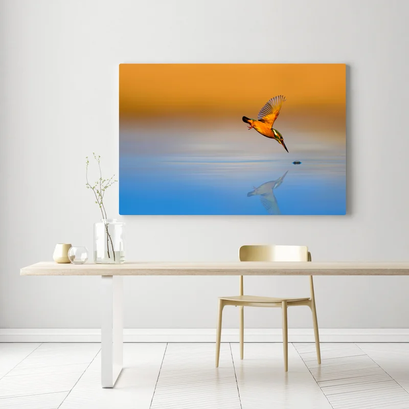 Leinwandbild eisvogel beim tauchen über spiegelndem wasser Leinwandbild eisvogel beim tauchen über spiegelndem wasser