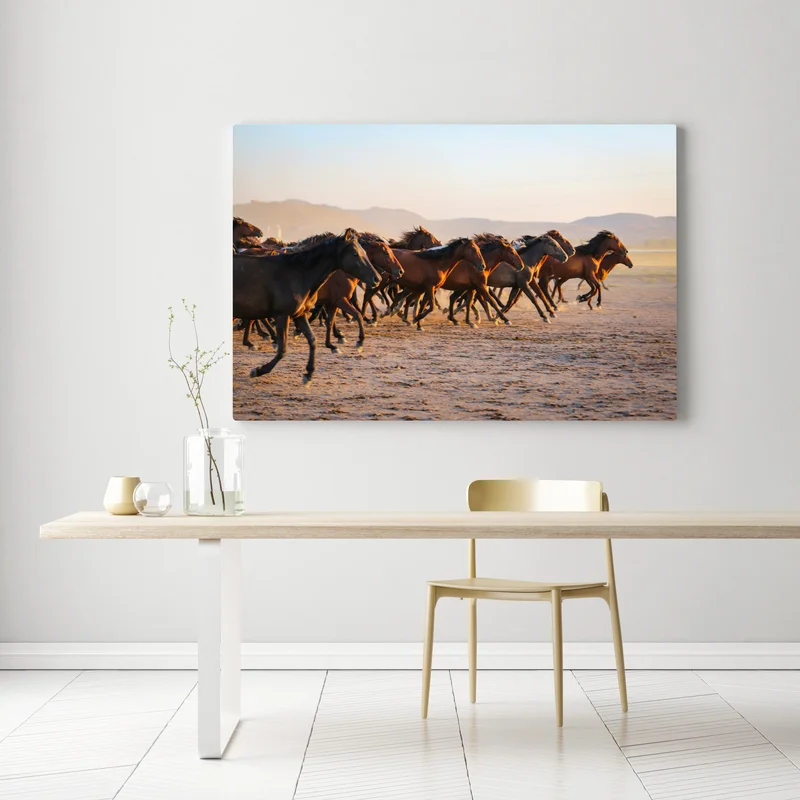 Leinwandbild yilki pferde galoppieren auf dem feld in Kayseri Leinwandbild yilki pferde galoppieren auf dem feld in Kayseri