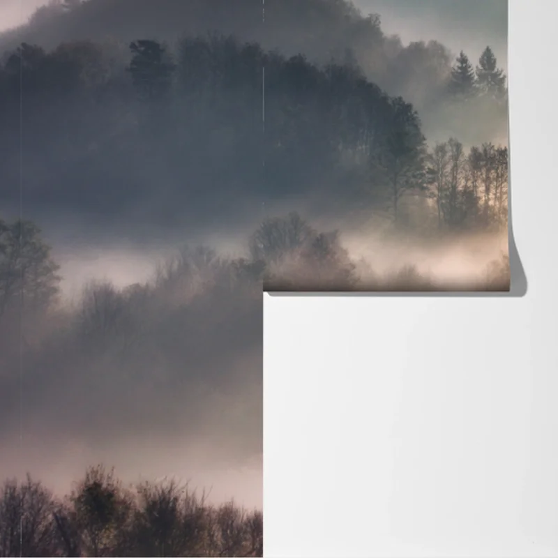 Fototapete nebliger wald im morgengrauen Fototapete nebliger wald im morgengrauen