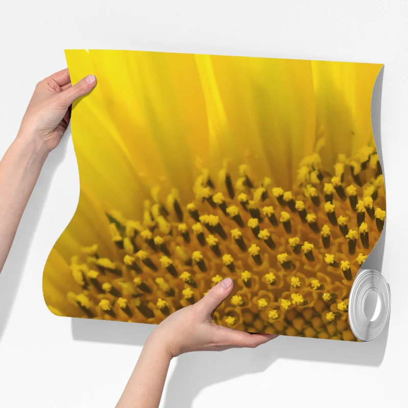 Fototapete leuchtende nahaufnahme sonnenblume Fototapete leuchtende nahaufnahme sonnenblume