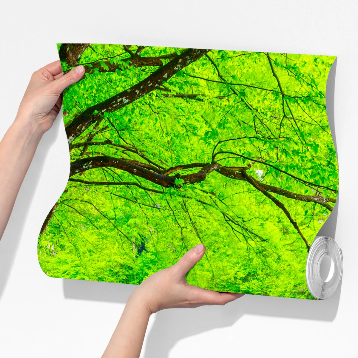 Fototapete ruhiger grüner steg am see Fototapete ruhiger grüner steg am see