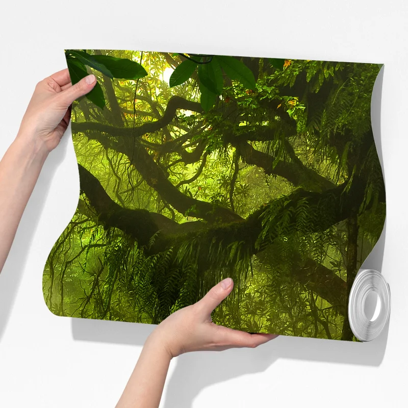 Fototapete sonnenbeschienener waldweg Fototapete sonnenbeschienener waldweg