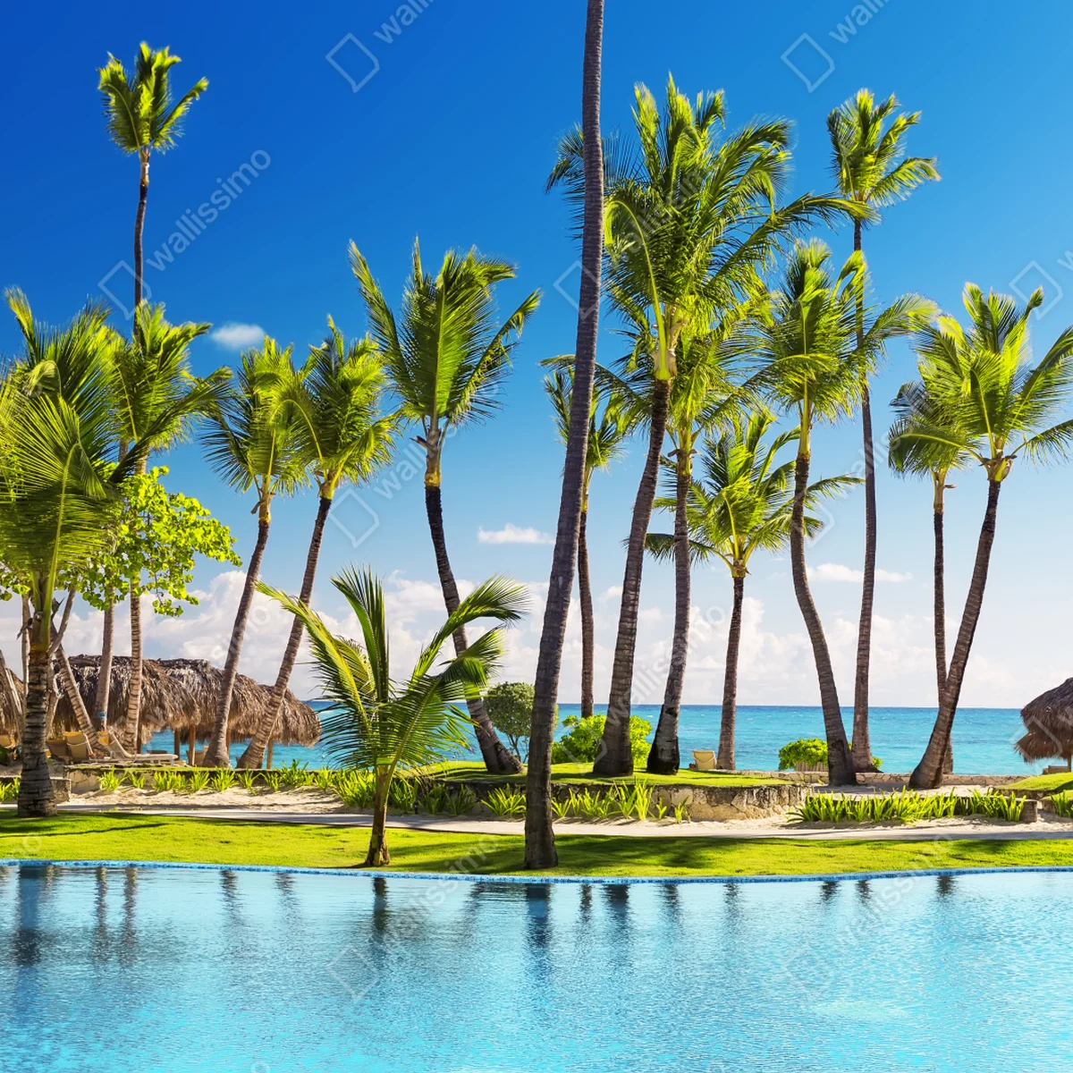 Leinwandbild tropisches strandparadies in Punta Cana Leinwandbild tropisches strandparadies in Punta Cana