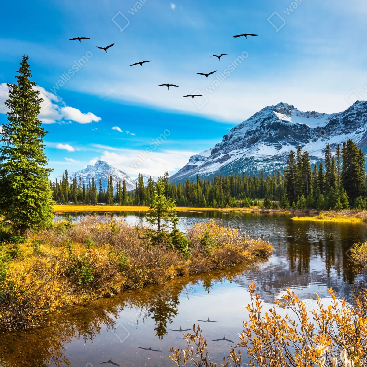 Fototapete herbstlicher bergsee mit vögeln Fototapete herbstlicher bergsee mit vögeln