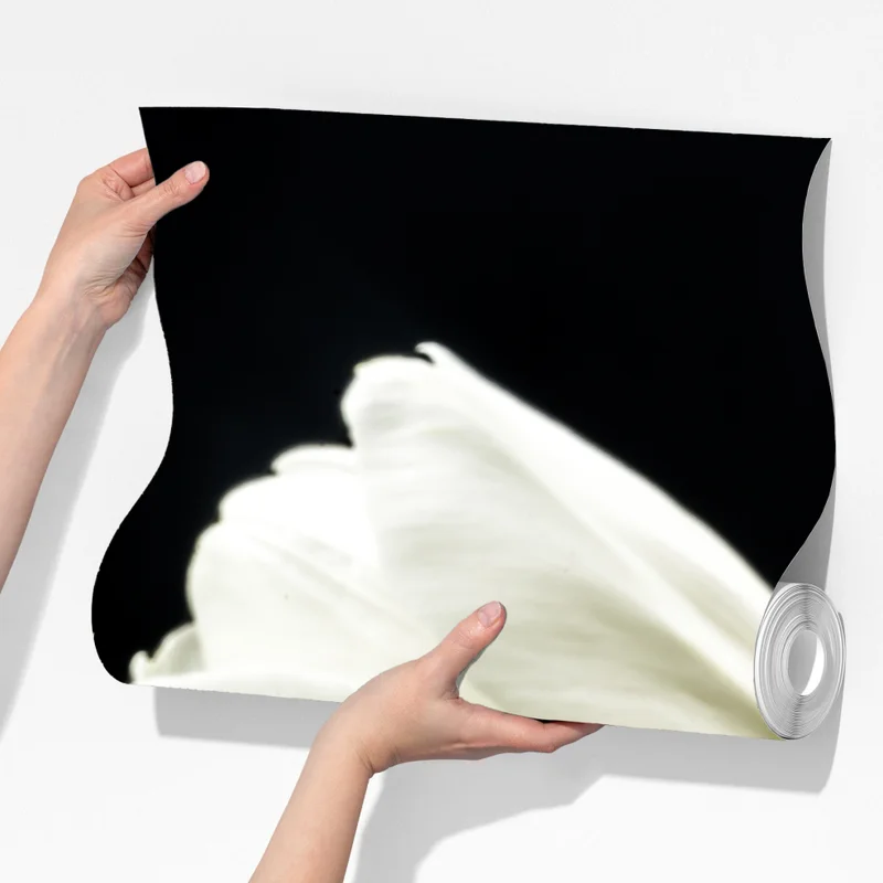 Fototapeta eleganckie białe tulipany na czarnym tle Fototapeta eleganckie białe tulipany na czarnym tle