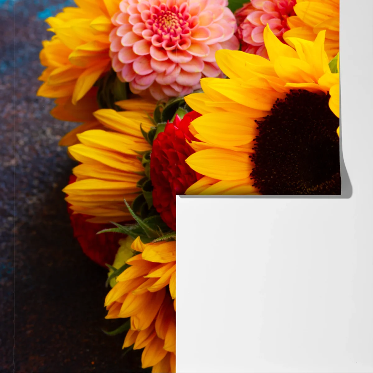 Fototapete nahaufnahme sonnenblumen- und dahlienstrauß Fototapete nahaufnahme sonnenblumen- und dahlienstrauß