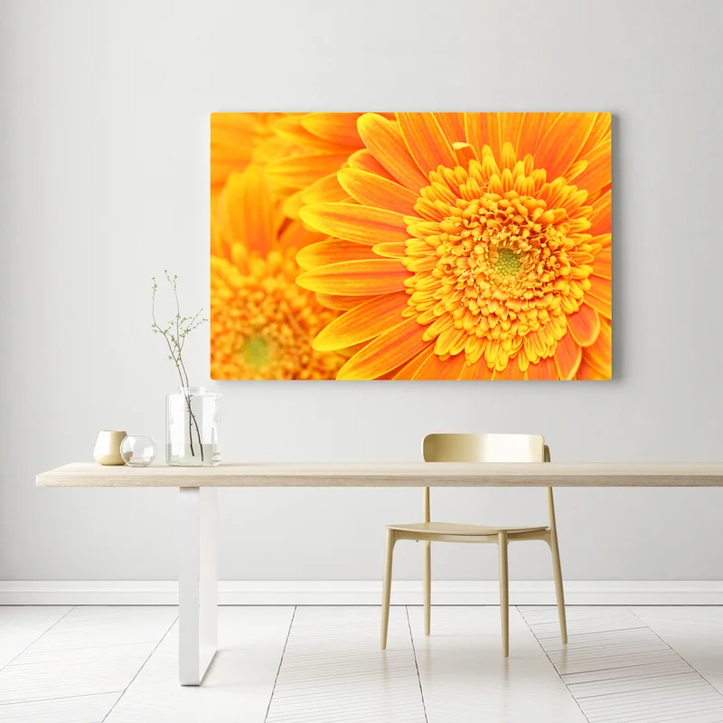 Leinwandbild leuchtende orange gerbera in makro Leinwandbild leuchtende orange gerbera in makro