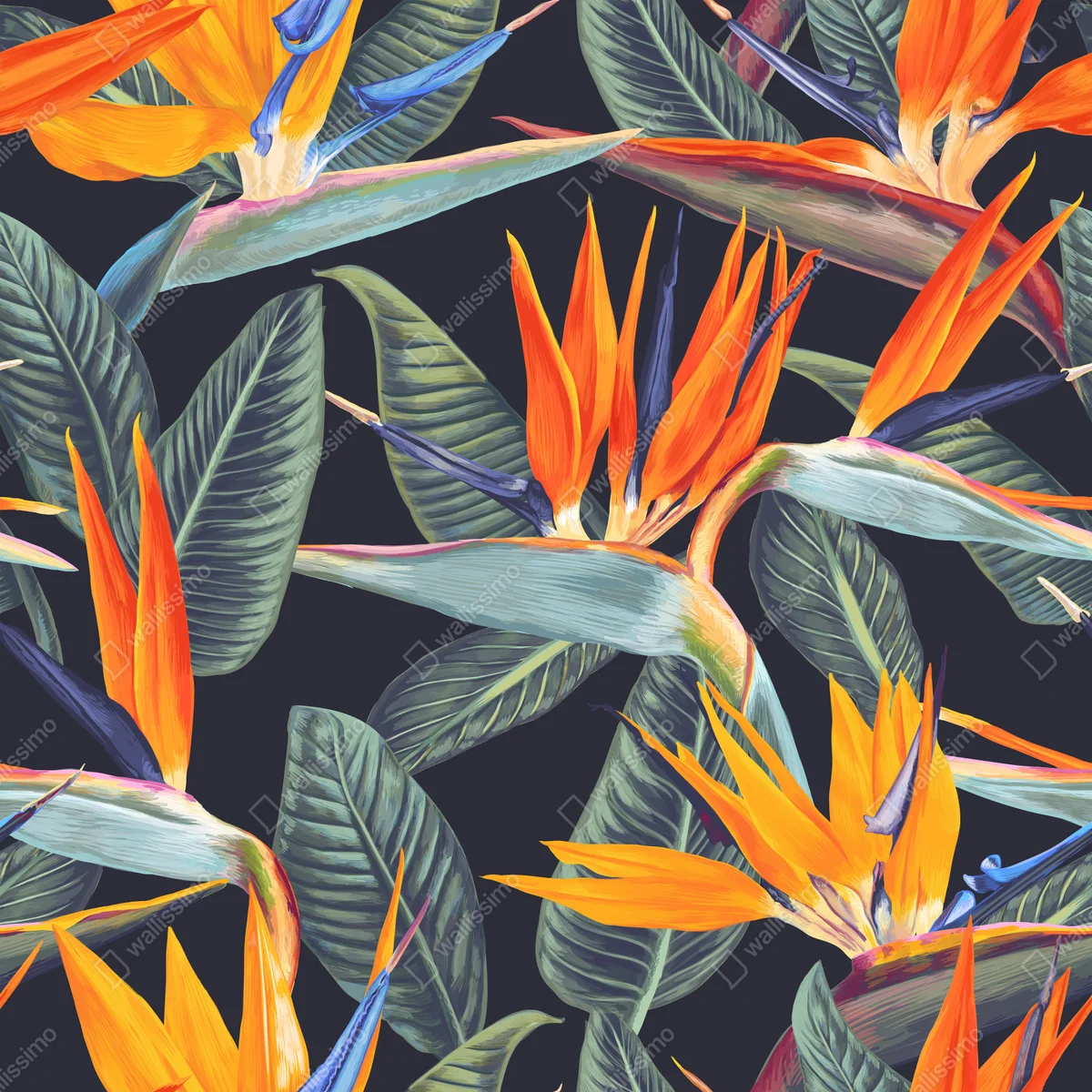 Fototapeta tropikalny wzór ze strelicjami Fototapeta tropikalny wzór ze strelicjami