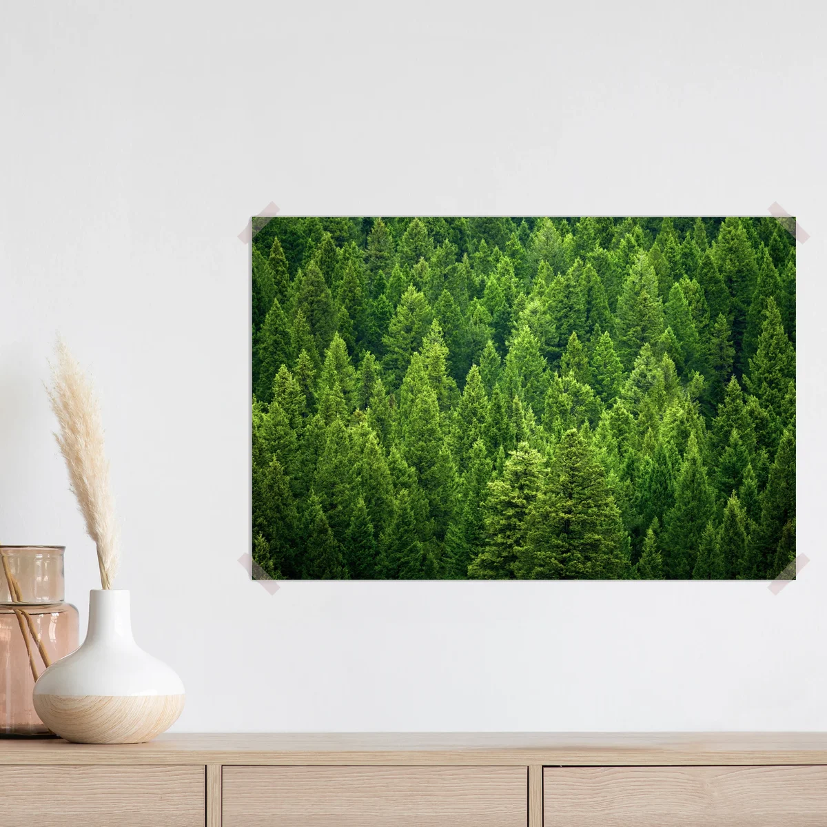 Poster üppige kronen eines kieferwaldes Poster üppige kronen eines kieferwaldes