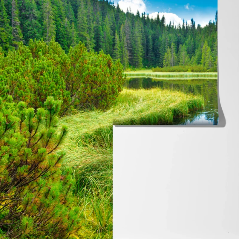 Fototapeta spokojne jezioro leśne z drewnianym mostem Fototapeta spokojne jezioro leśne z drewnianym mostem