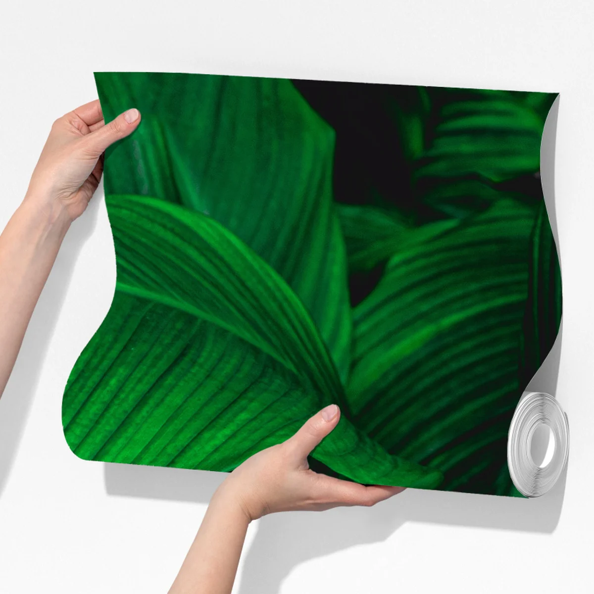 Fototapeta bujne tropikalne liście Fototapeta bujne tropikalne liście