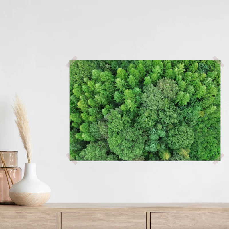 Poster Luftaufnahme grüner Baumkronen von oben • Poster bei Wallnifity® Poster Luftaufnahme grüner Baumkronen von oben • Poster bei Wallnifity®