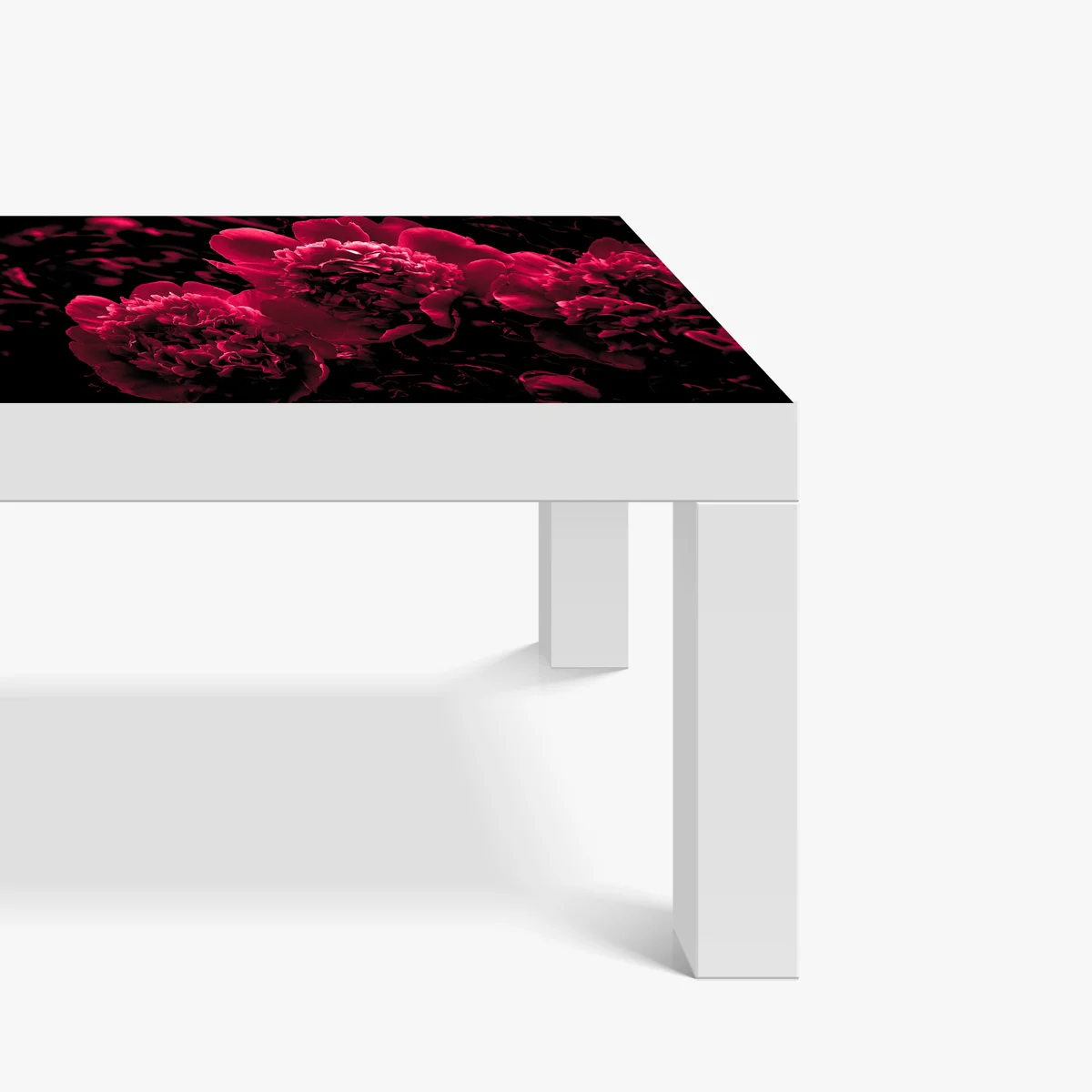 Tischaufkleber und Schreibtischaufkleber stimmungsvolle rosa pfingstrosen Tischaufkleber und Schreibtischaufkleber stimmungsvolle rosa pfingstrosen