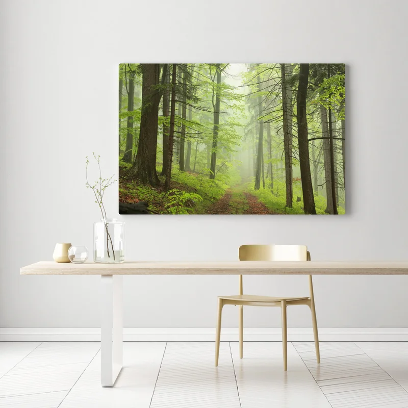 Leinwandbild nebliger grüner waldpfad Leinwandbild nebliger grüner waldpfad