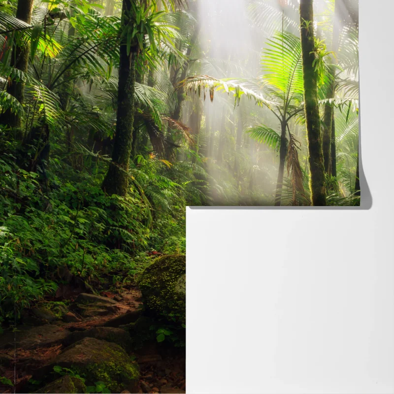 Fototapete tropischer regenwald mit sonnenstrahlen Fototapete tropischer regenwald mit sonnenstrahlen