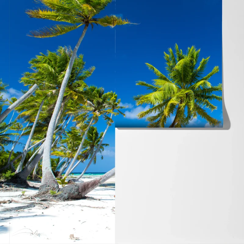 Fototapete tropischer strand mit palmen und türkisfarbenem wasser Fototapete tropischer strand mit palmen und türkisfarbenem wasser