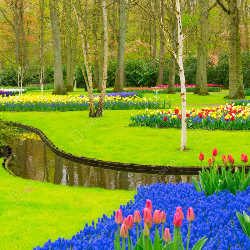 Poster frühlingsgarten mit tulpen • Poster bei Wallnifity® Poster frühlingsgarten mit tulpen • Poster bei Wallnifity®