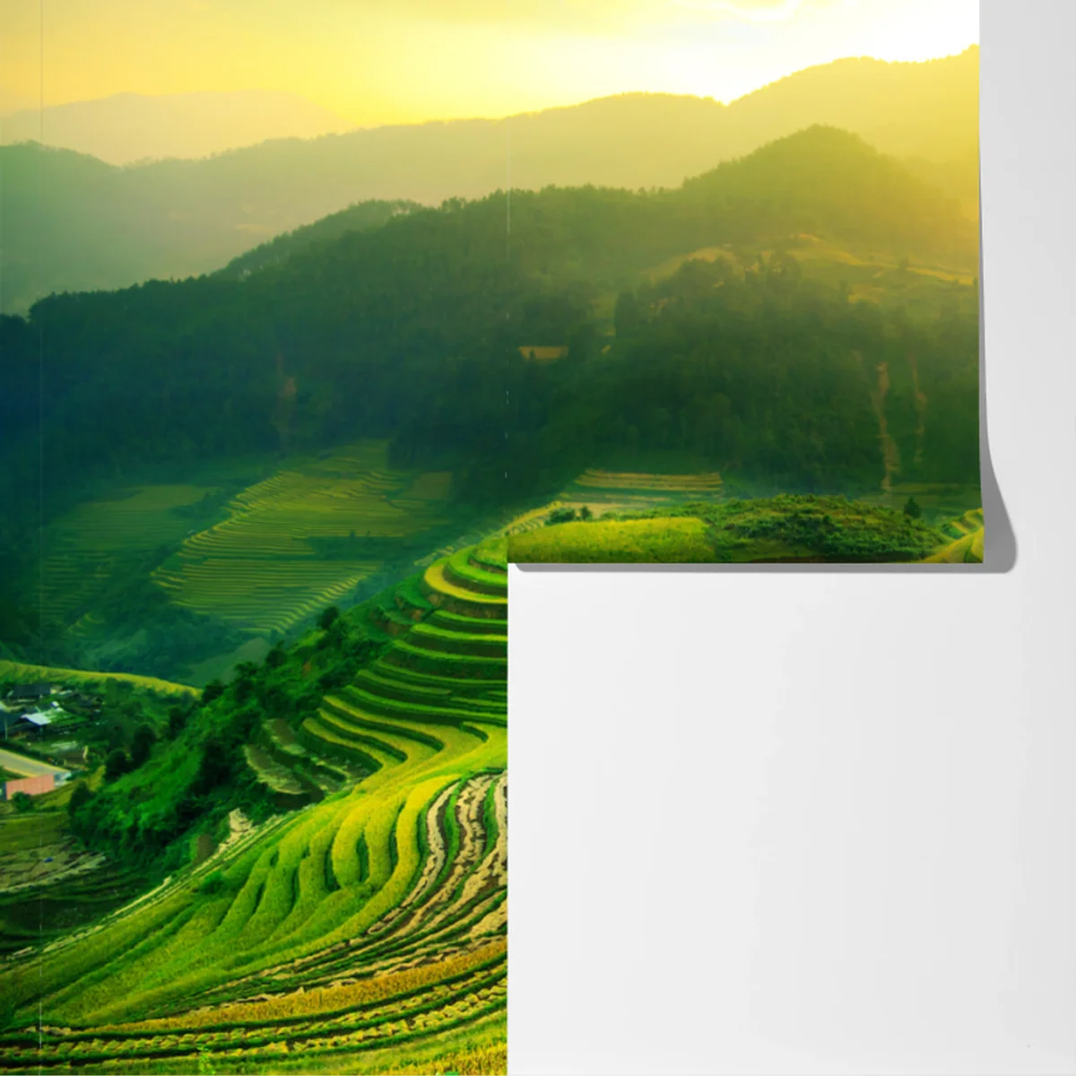 Fototapeta złote tarasy ryżowe o wschodzie słońca Fototapeta złote tarasy ryżowe o wschodzie słońca