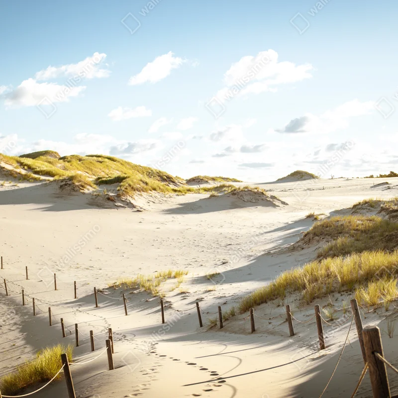 Repositionierbarer Aufkleber ruhige dünen im Slowinski Nationalpark Repositionierbarer Aufkleber ruhige dünen im Slowinski Nationalpark