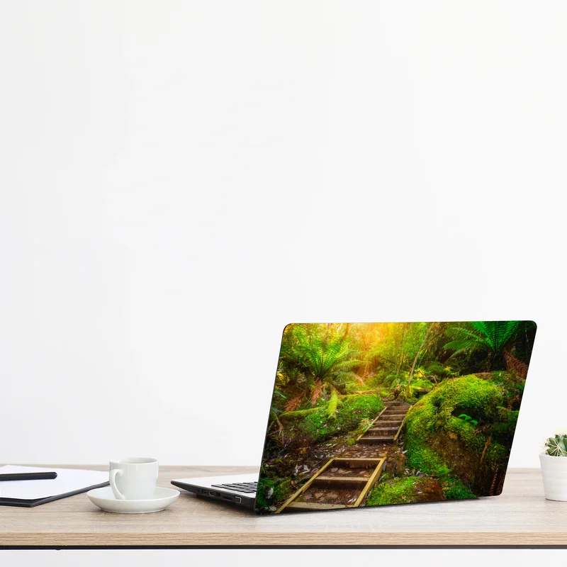 Naklejka na laptopa ścieżka w lesie deszczowym na Półwyspie Tasmańskim