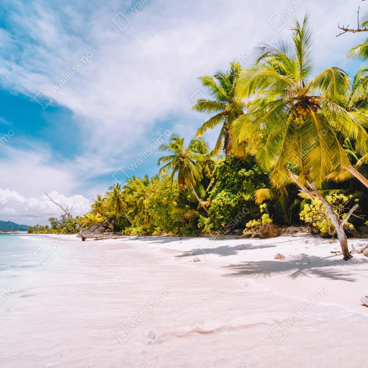 Laptop-Aufkleber tropischer strandidyll mit palmen Laptop-Aufkleber tropischer strandidyll mit palmen