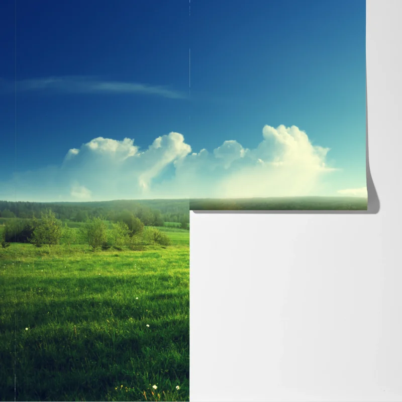 Fototapete sonnige frühlingswiese im abendlicht Fototapete sonnige frühlingswiese im abendlicht