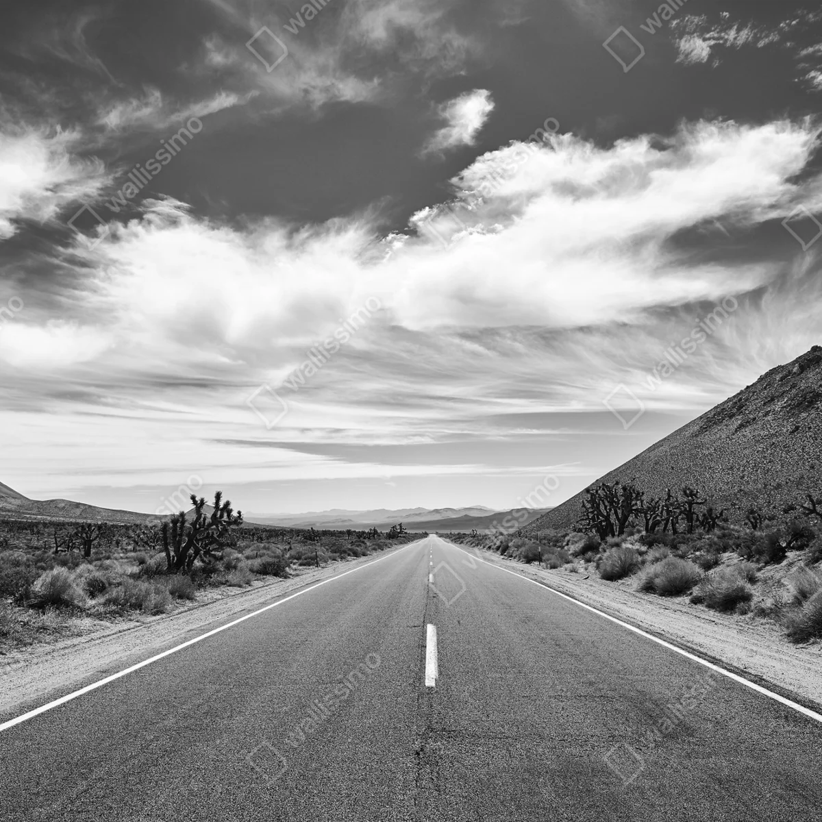 Fototapete Death Valley offene Straße in schwarzweiß Fototapete Death Valley offene Straße in schwarzweiß