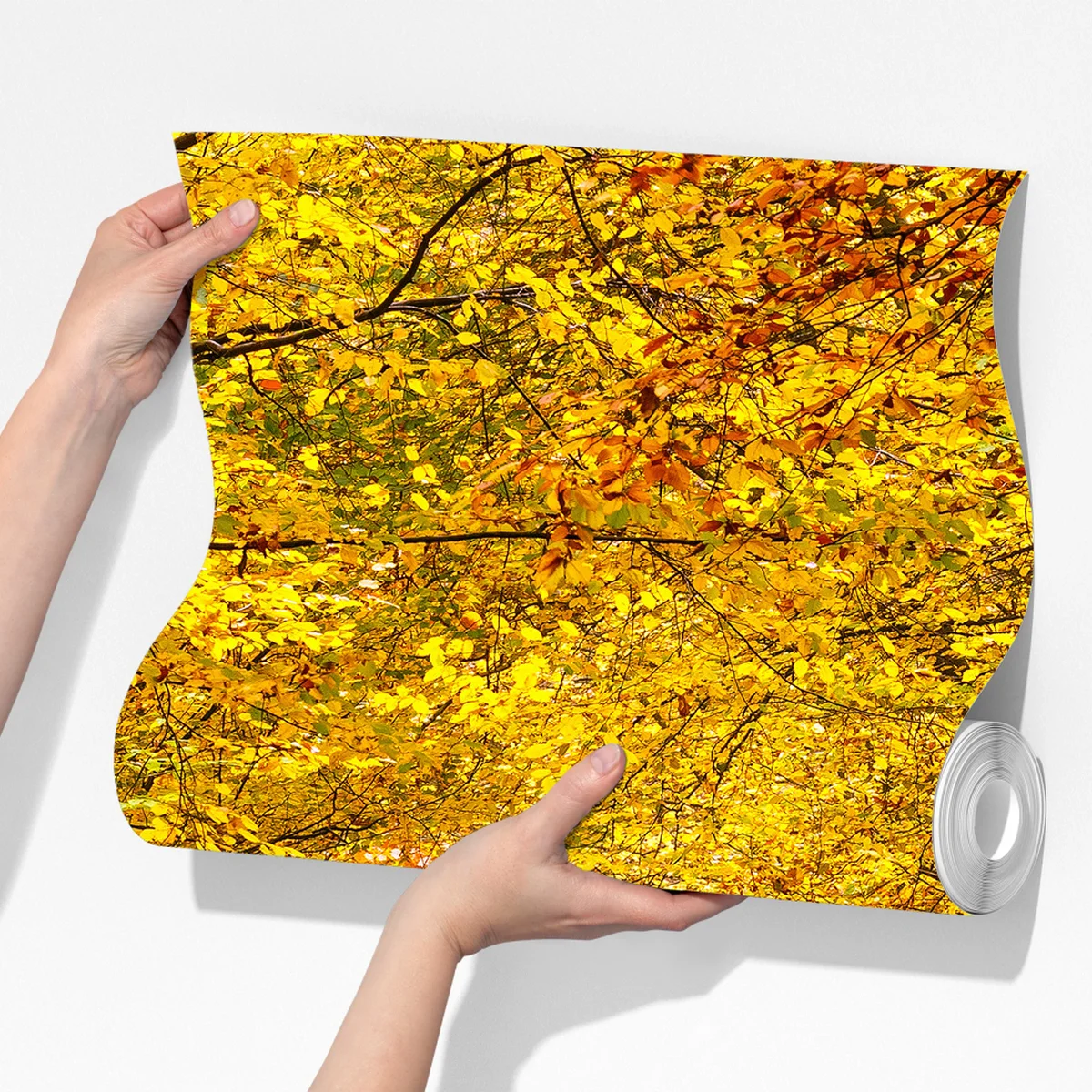 Fototapete goldener herbstwaldweg Fototapete goldener herbstwaldweg