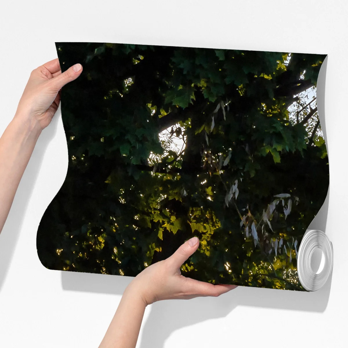 Fototapete sonnenbeschienener landweg im morgendunst Fototapete sonnenbeschienener landweg im morgendunst