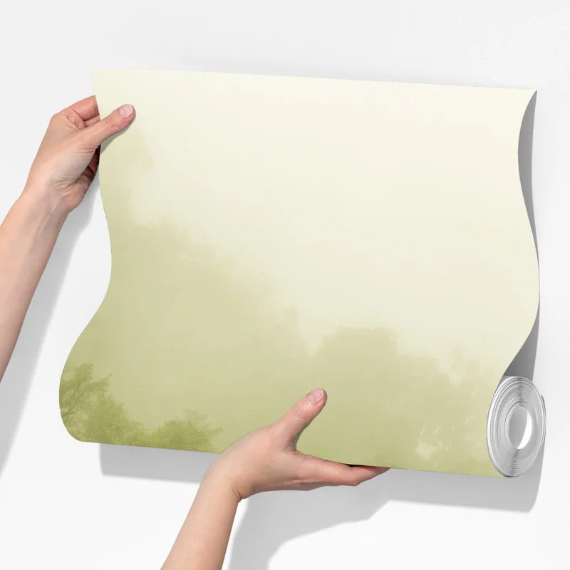 Fototapeta mglisty las deszczowy w pobliżu Cairns Fototapeta mglisty las deszczowy w pobliżu Cairns