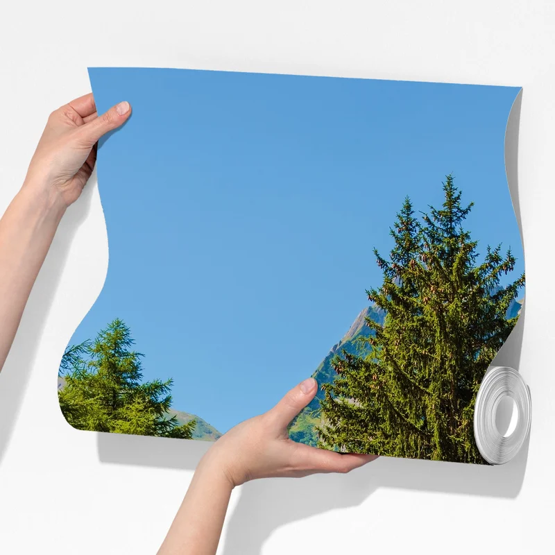 Fototapete bergweg in den Schweizer Alpen im Sommer Fototapete bergweg in den Schweizer Alpen im Sommer