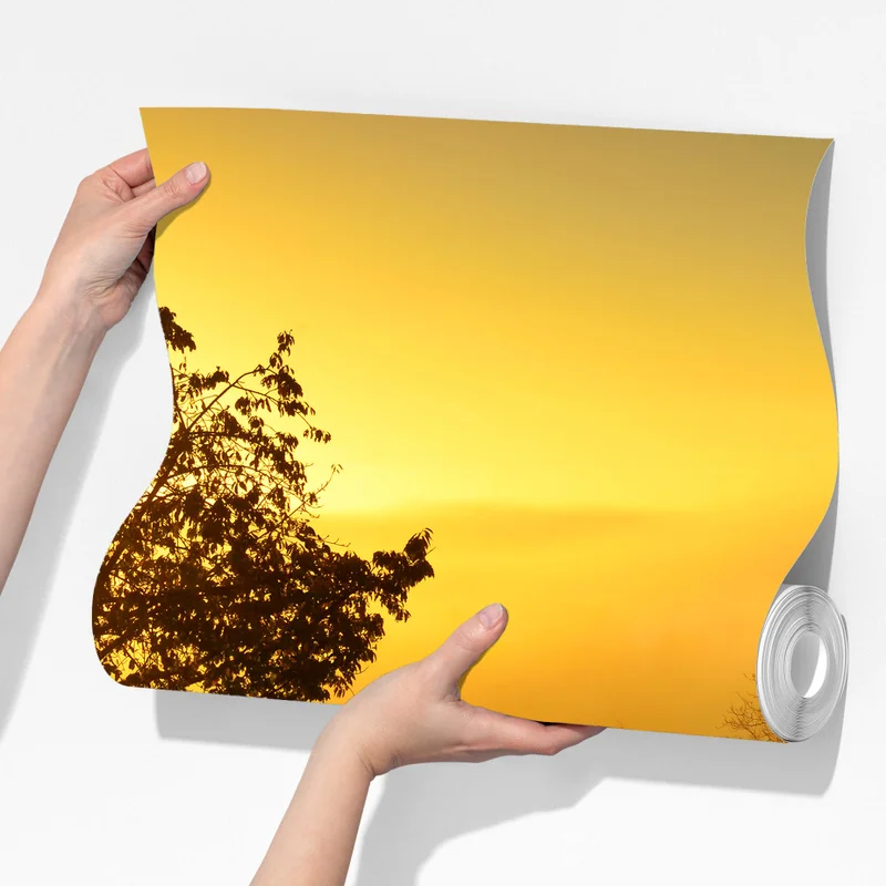 Fototapete sonnenbeschienener landweg durch die morgenwiese Fototapete sonnenbeschienener landweg durch die morgenwiese