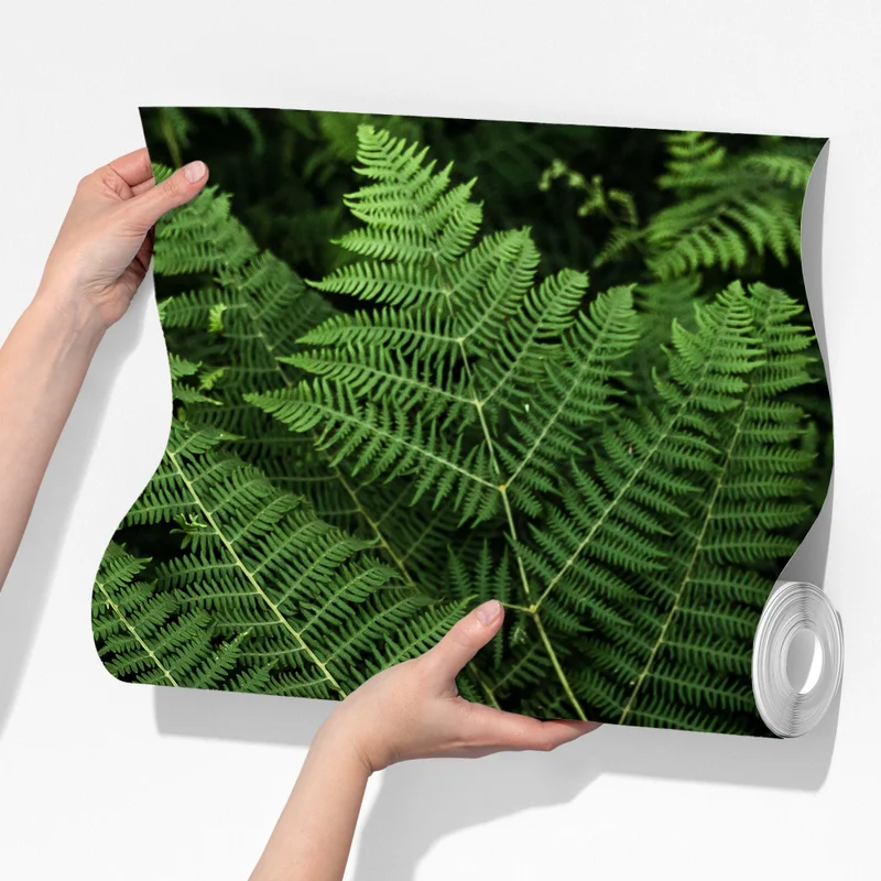 Fototapeta bujna zielona paproć Fototapeta bujna zielona paproć