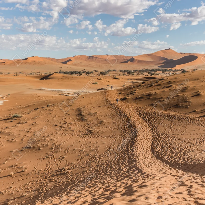 Laptop-Aufkleber weite wüstendünen unter blauem himmel Laptop-Aufkleber weite wüstendünen unter blauem himmel